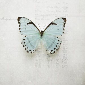 Meet your Posher, Leidy